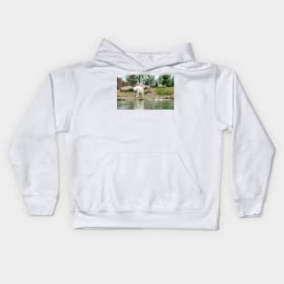 Polar bear walking by lake Kids Hoodie